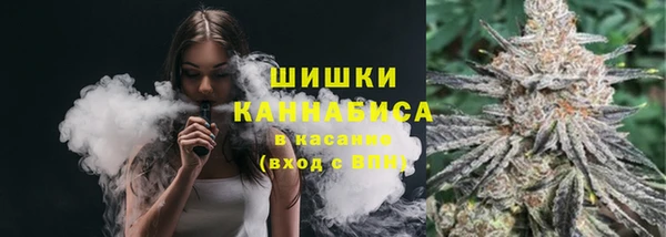 сатива Няндома