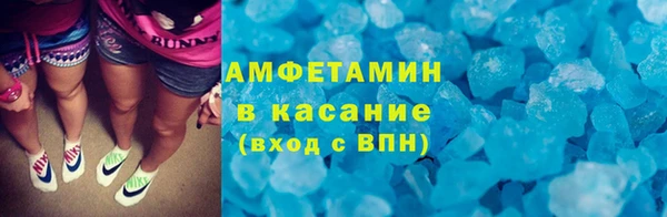 сатива Няндома