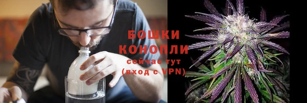 сатива Няндома