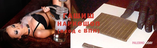 сатива Няндома