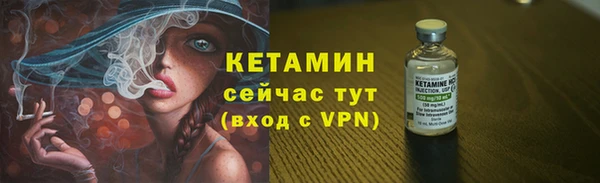 сатива Няндома