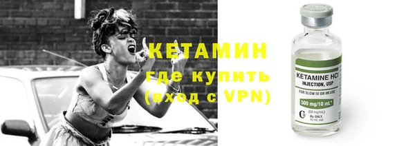 сатива Няндома