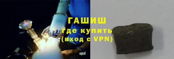 сатива Няндома