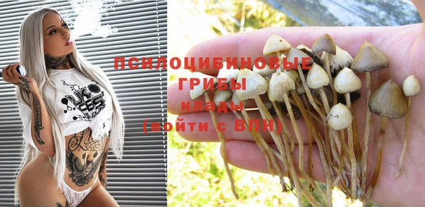 эйфоретик Нягань