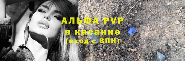 сатива Няндома