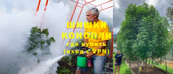 сатива Няндома