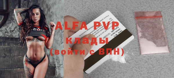 сатива Няндома