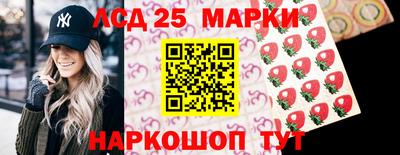 гидра Кандалакша