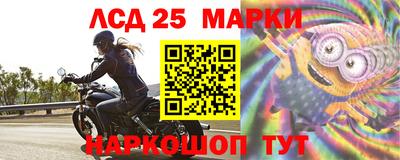 ALPHA PVP Камышлов