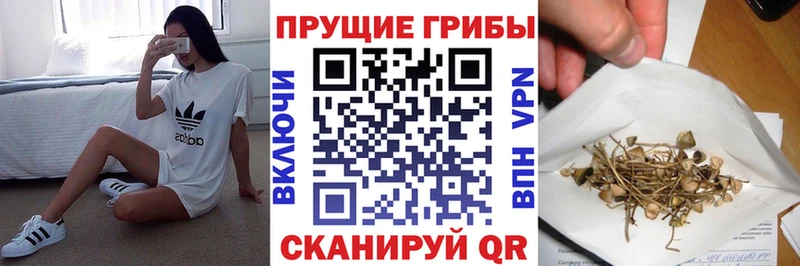 Псилоцибиновые грибы Psilocybine cubensis  закладка  ссылка на мегу зеркало  Партизанск 